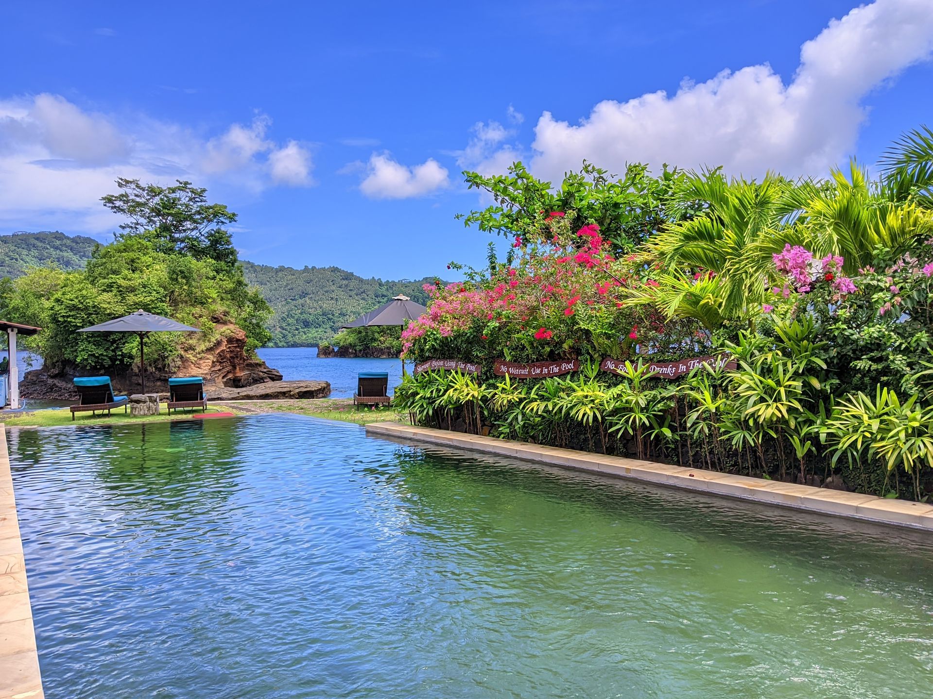 Infinity pool beside lush tropical plants, with mountains and blue sky in the background