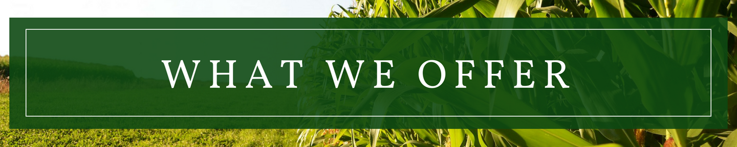 A green banner with the words `` what we offer '' on it
