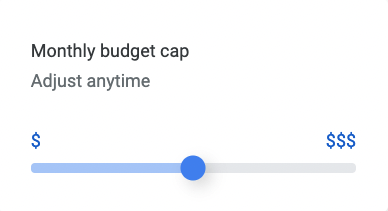 A monthly budget cap can be adjusted anytime.