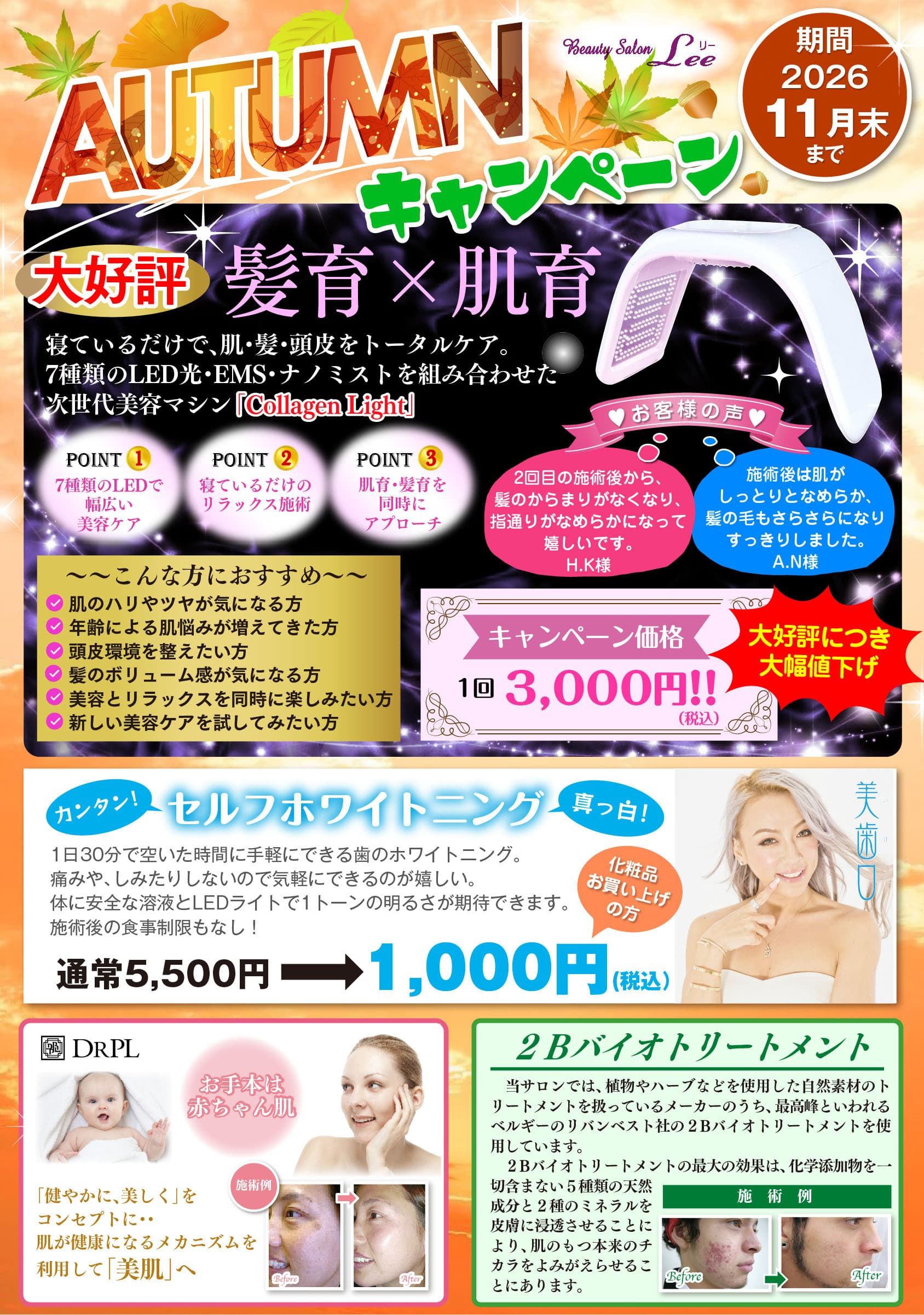 キャンペーン情報