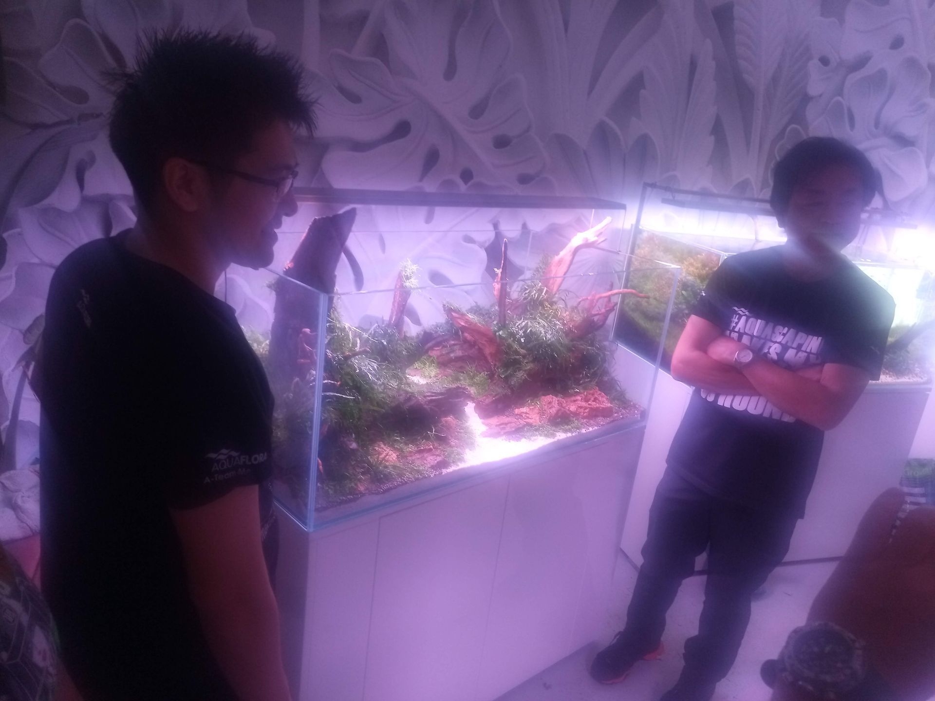 Aquascape Takayuki