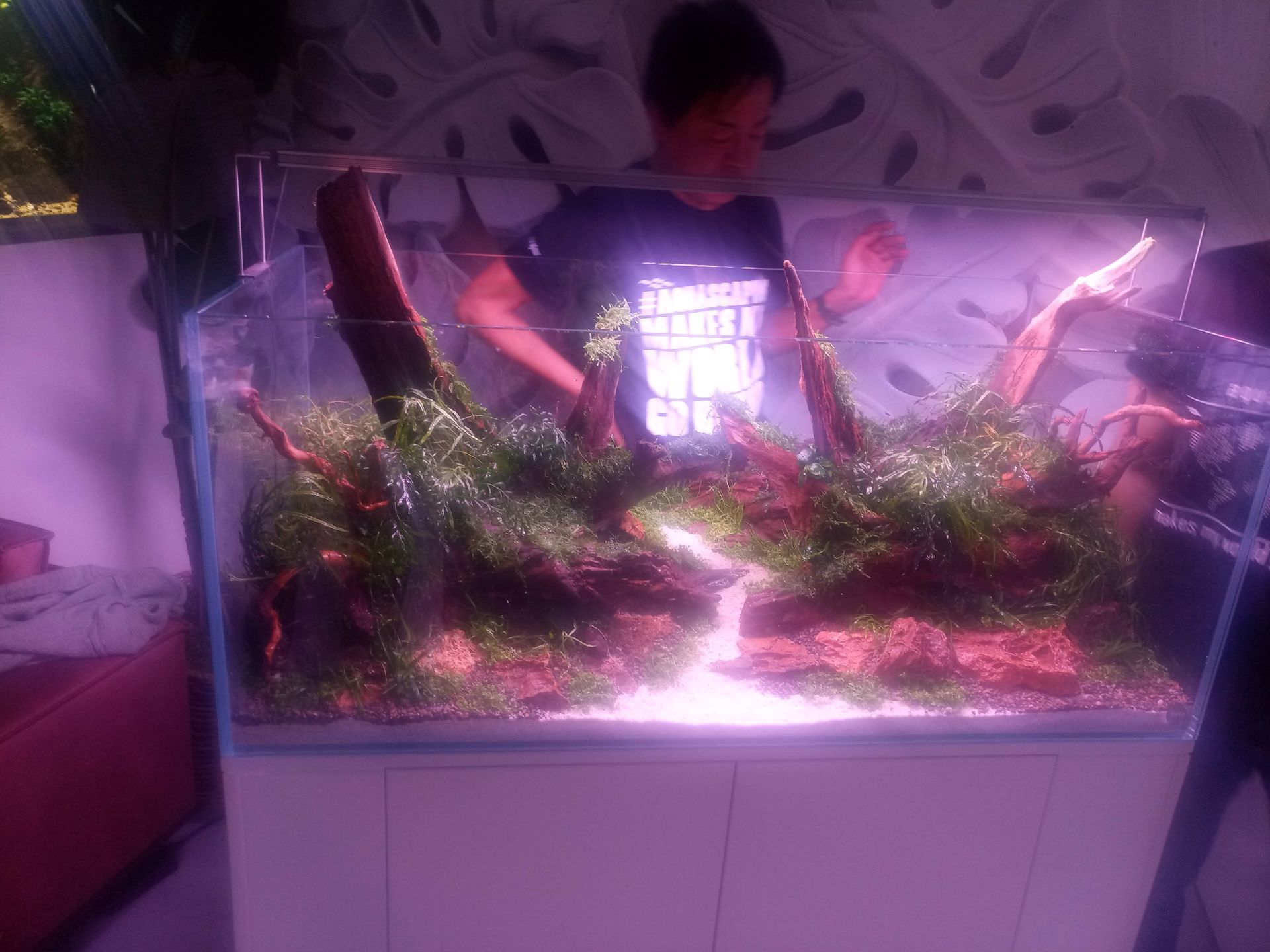 Aquascape kampioen