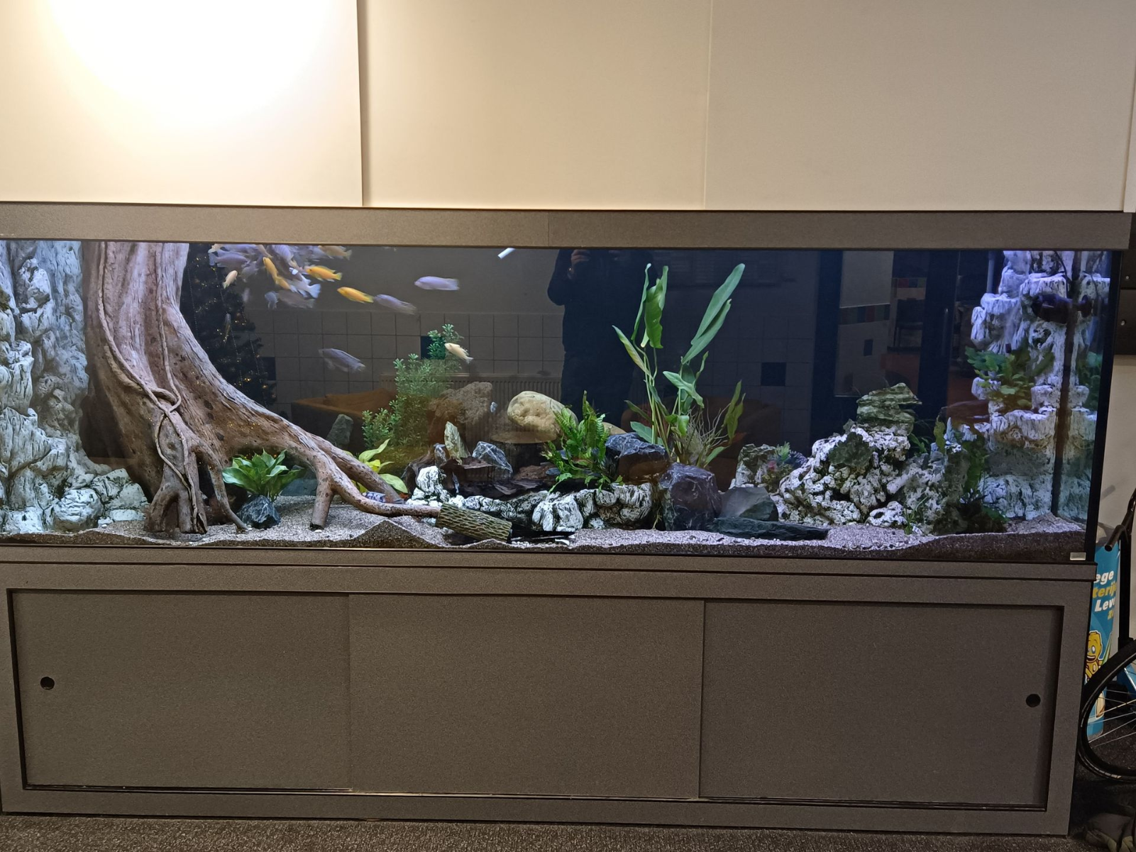 onderhoudsbedrijf aquarium