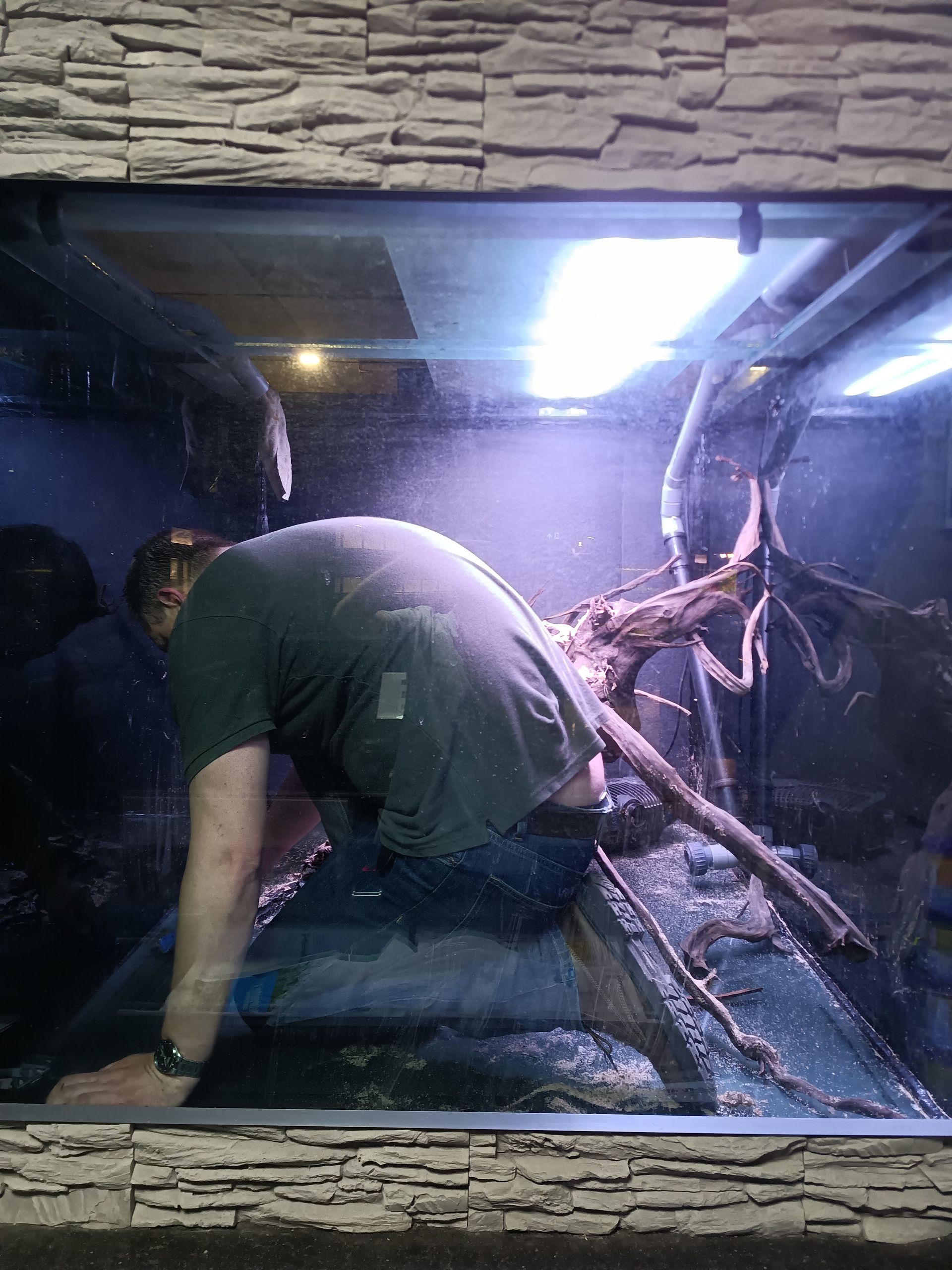 Aquarium reparatie