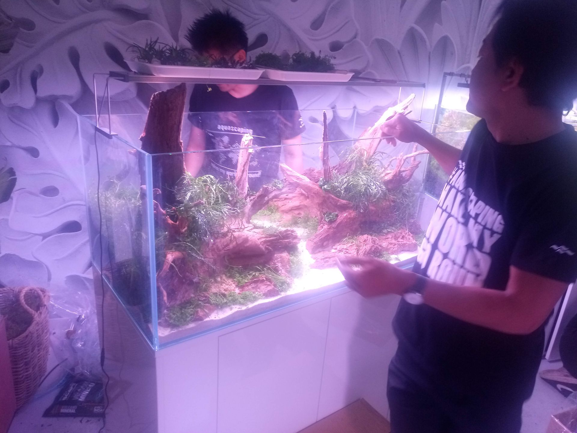 Aquascape cursus