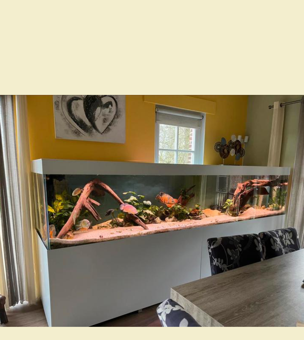 Aquarium onderhoud op maat