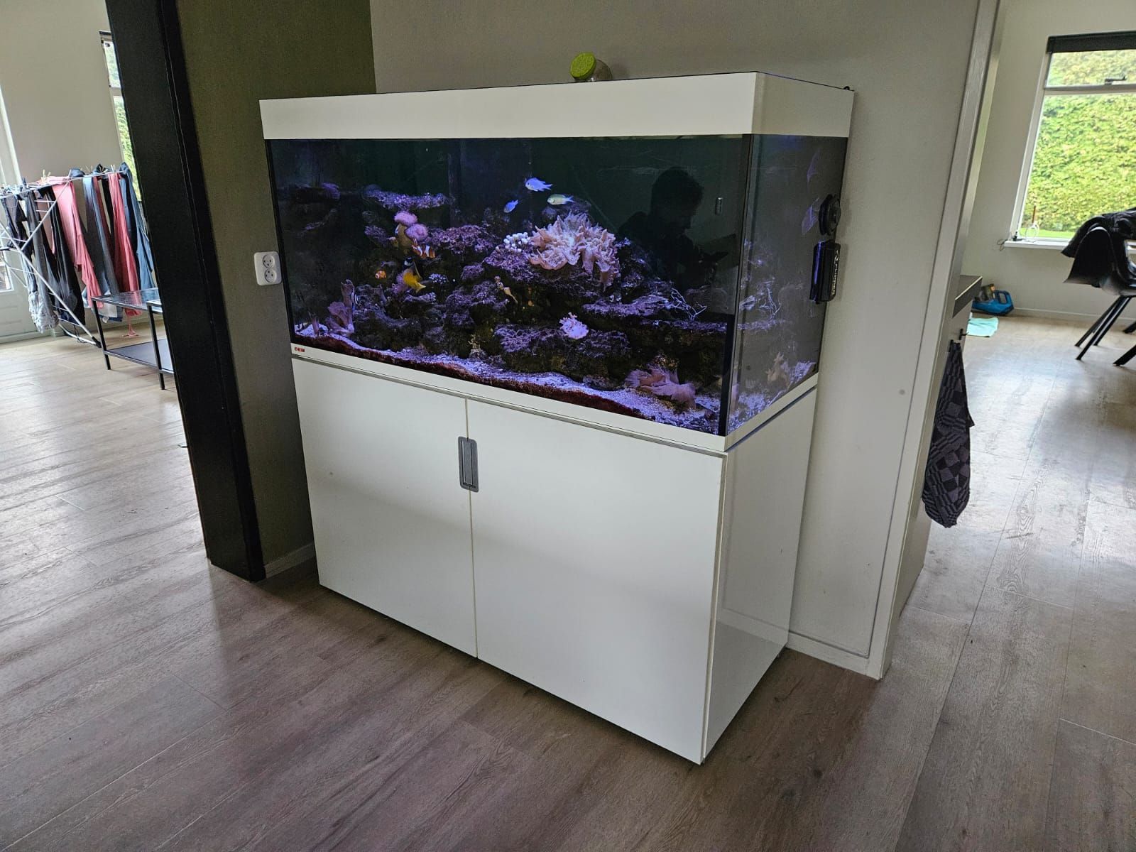 zeewater aquarium laten ophalen