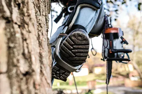 Boot of a robotic lawn mower near a tree trunk, with a blurred mower in the background