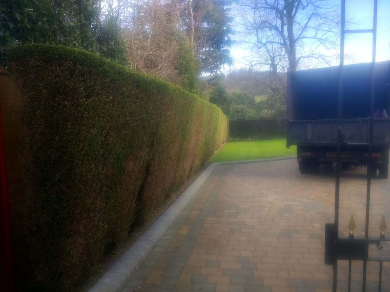 Driveway beside a tall hedge, with a parked dark truck and green lawn in the background.