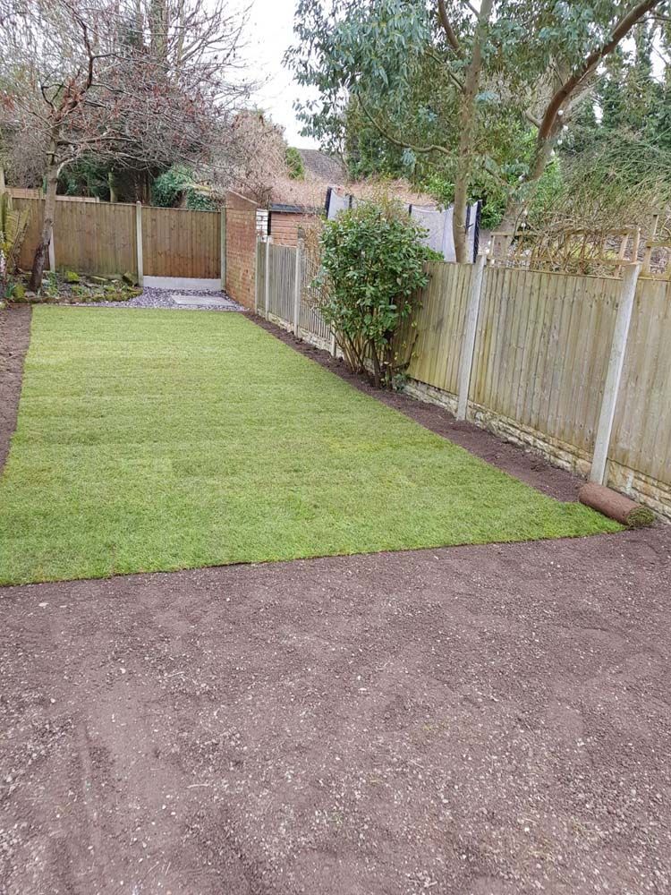 Backyard lawn with a dirt path, surrounded by wooden fences and trees