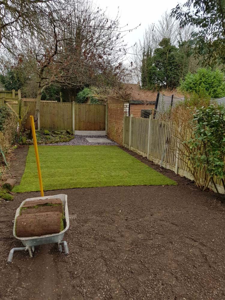 Back garden with freshly dug soil, a wheelbarrow, and a small grass lawn bordered by fences and trees
