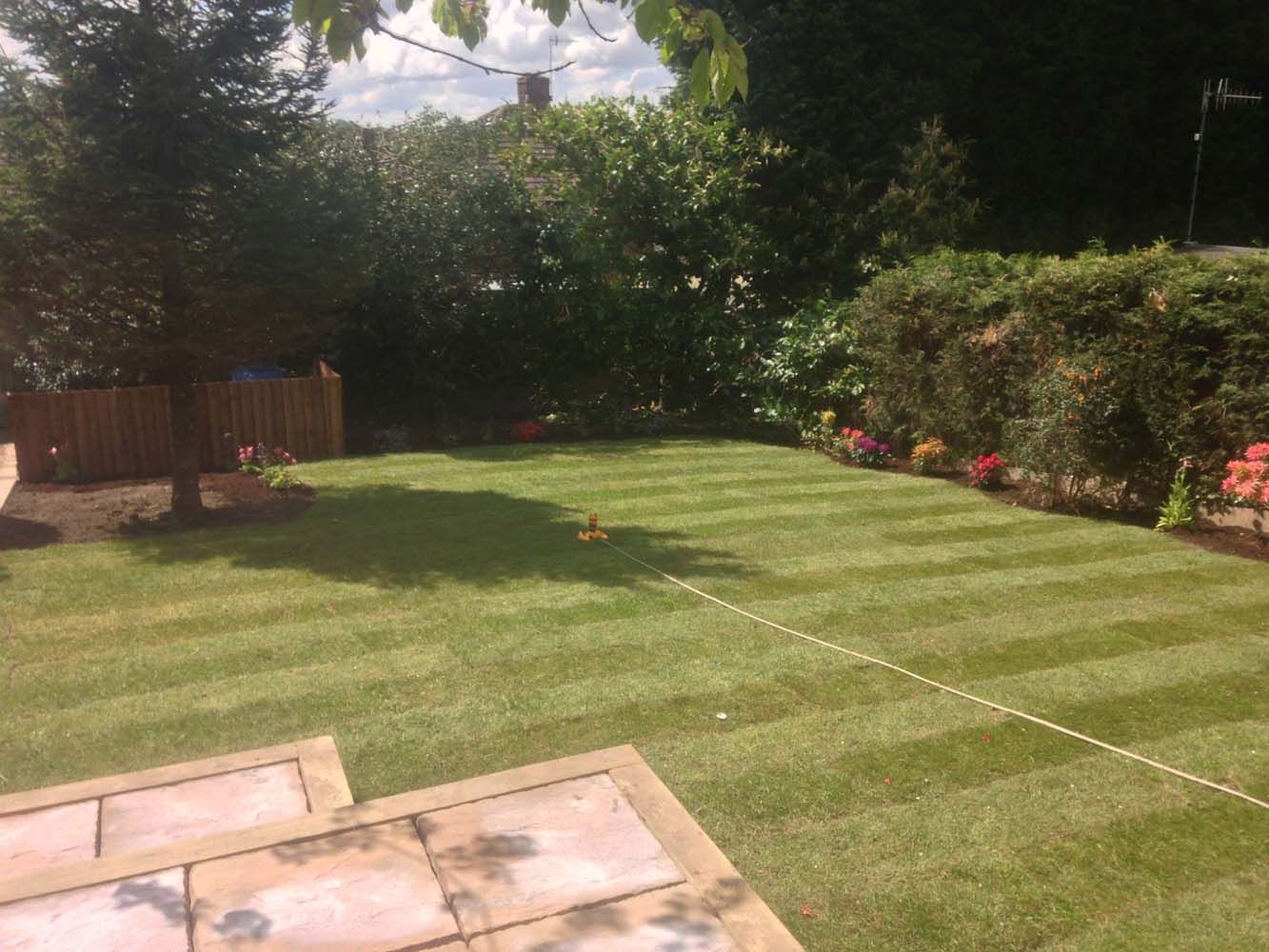 Sunny backyard lawn with striped grass, patio stones, shrubs, and a wooden fence.