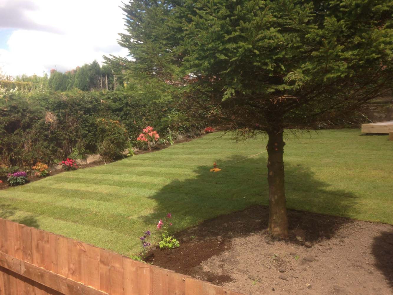Landscaped backyard with a tree, trimmed lawn, flower beds, and a wooden retaining wall