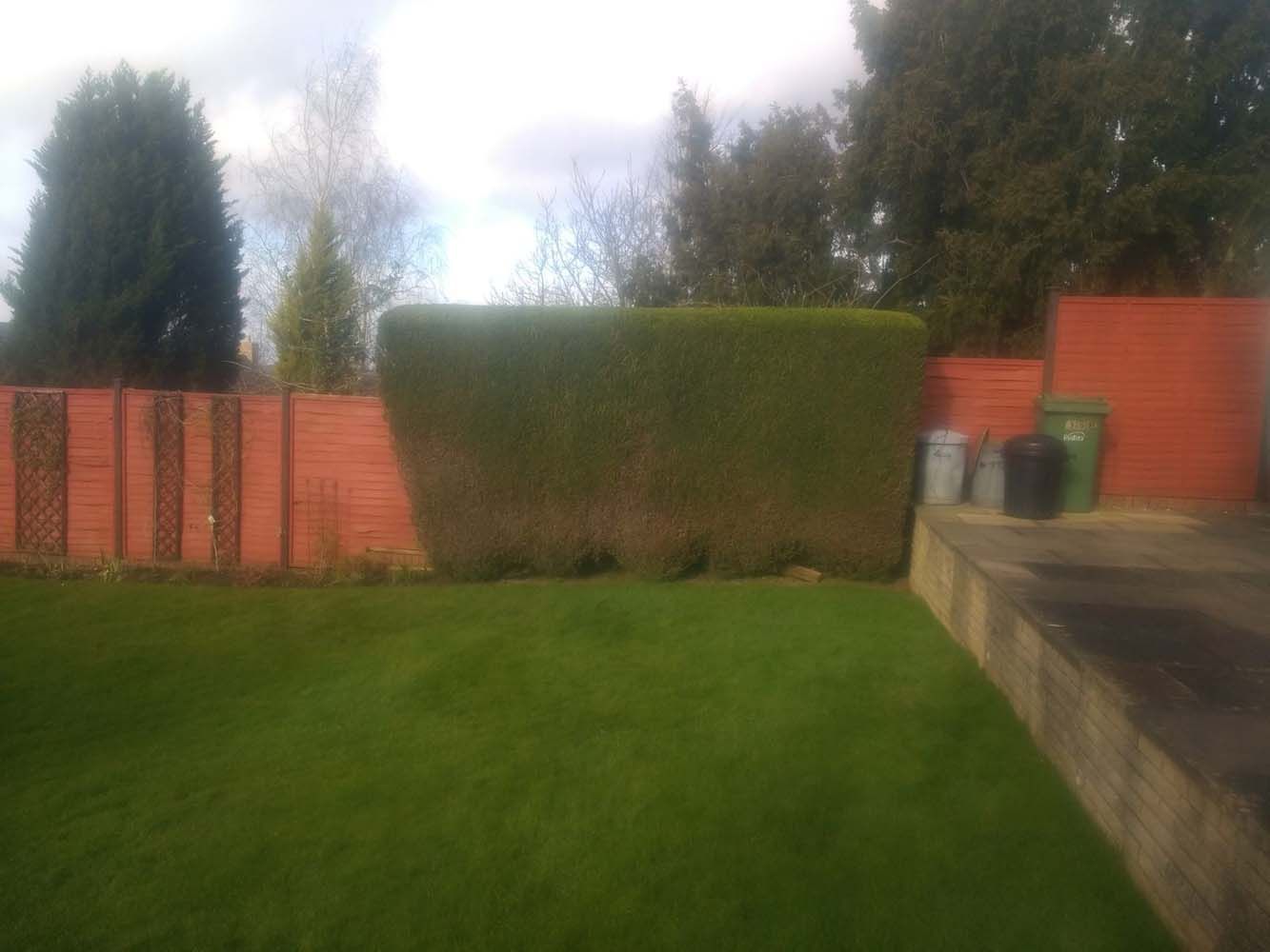 Backyard with green lawn, trimmed hedge, brick fence, and a patio with bins on the right