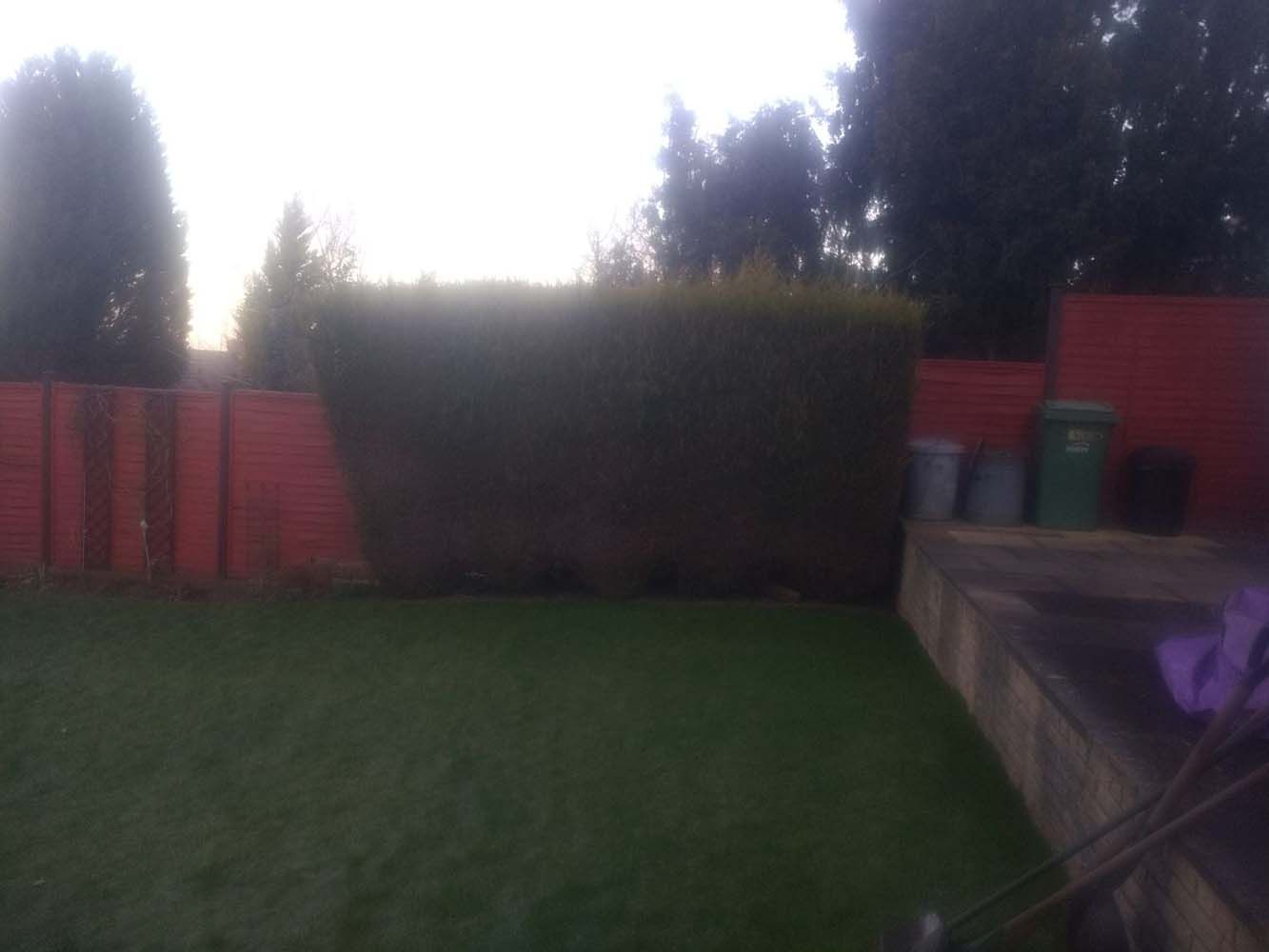 Backyard with green lawn, tall hedges, red fence, and patio area at dusk