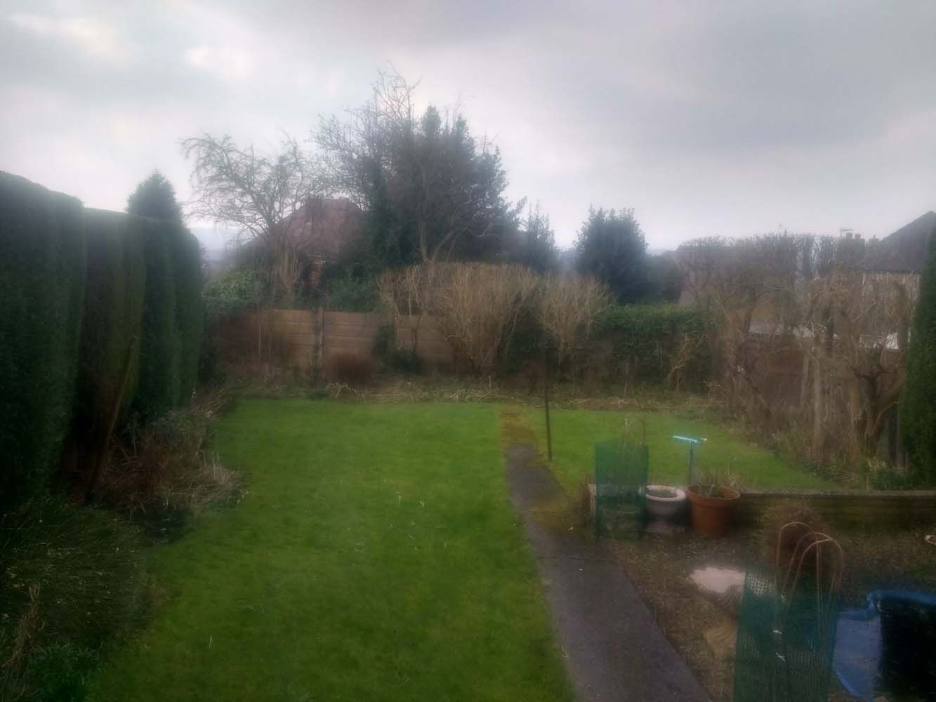 Backyard lawn with patio, shrubs, and trees under a cloudy sky