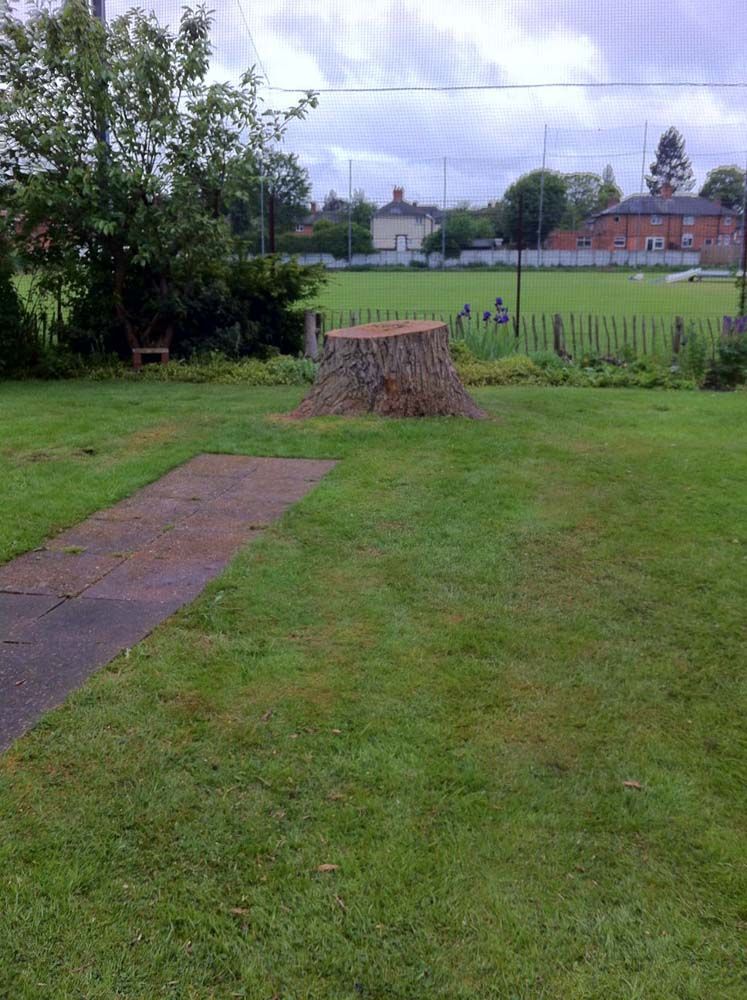 Grassy yard with a large tree stump, paved path, and fenced field in the background.