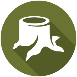 White tree stump icon on an olive-green circular background