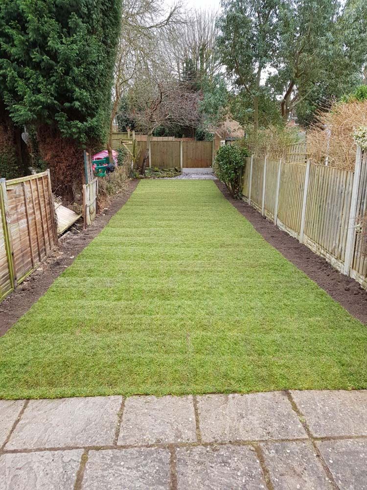 Narrow backyard with freshly laid green turf, bordered by fences and trees, with patio slabs in the foreground
