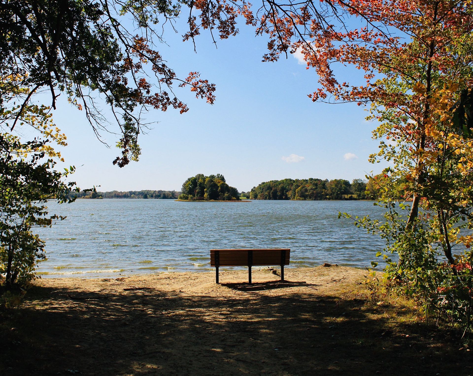 Bench on a sandy beach overlooking a lake, framed by colorful autumn trees under a blue sky.