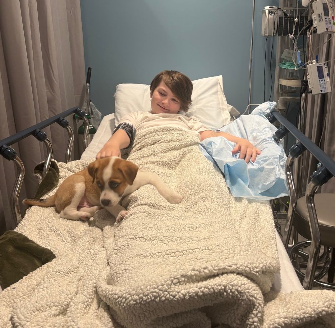 A young person lying in a hospital bed smiles while a small tan and white puppy rests on their lap.