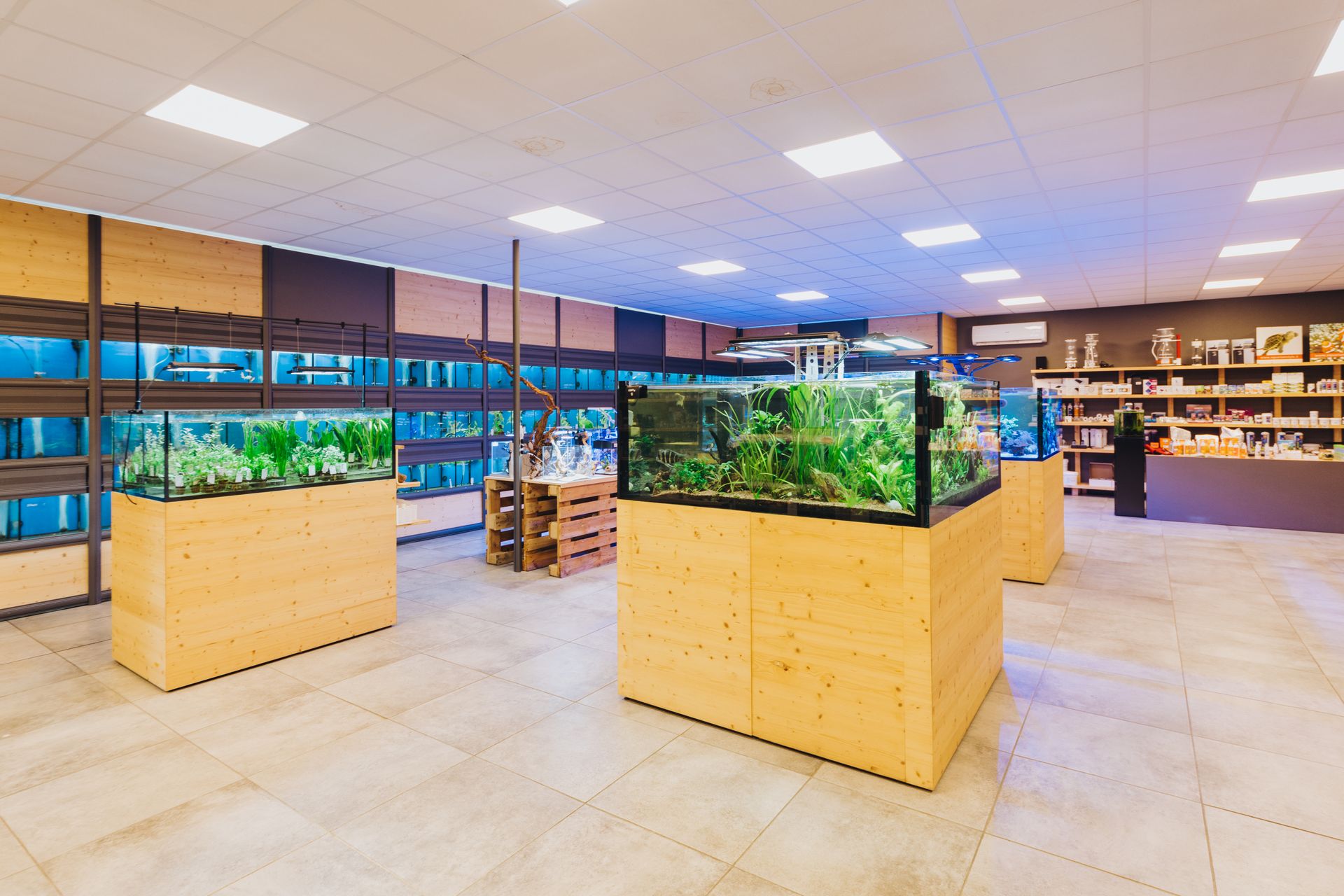 4 Meduse Luminose Per Acquario - Decorazioni In Silicone Con Effetto Fluorescente UV - Foto 8