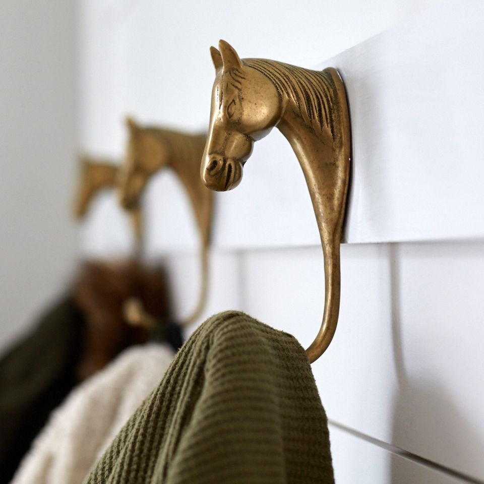 A sweater is hanging on a hook in the shape of a horse head