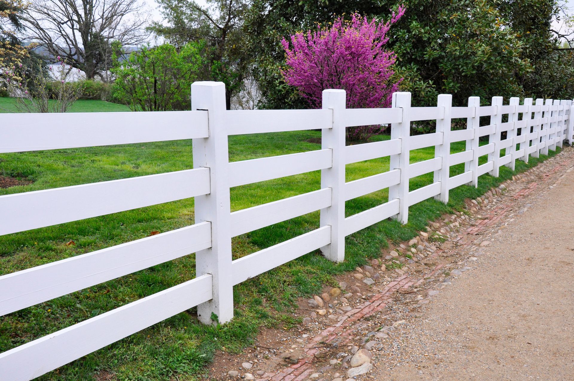 White wooden fence along a gravel road beside green grass and a pink flowering tree