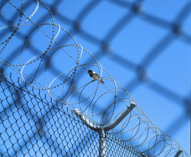 Barbed wire atop a chain-link fence against a blue sky, with a bird perched on the wire