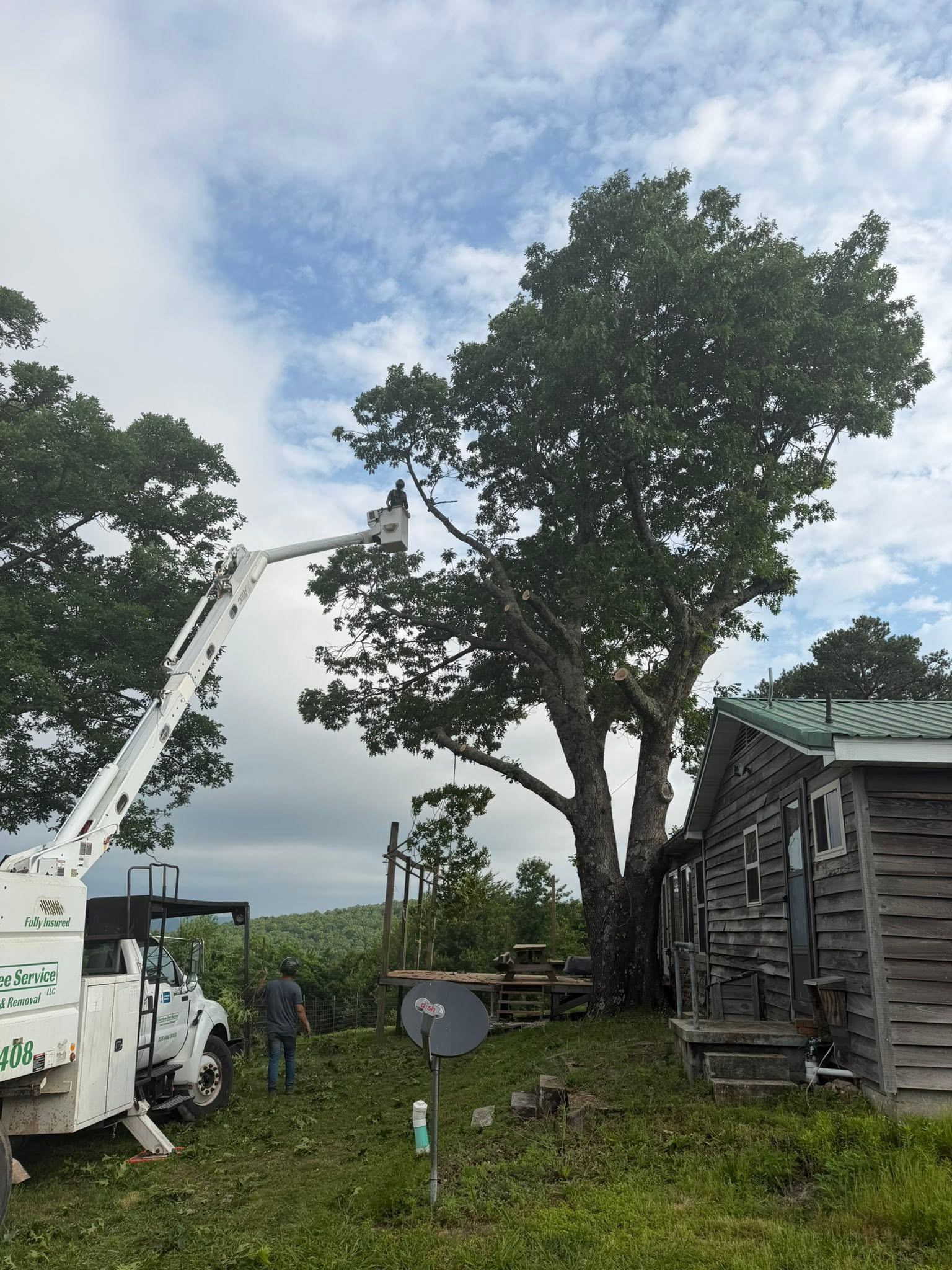 Rural yard with a white crane, old wooden shed, large tree, and cloudy sky.