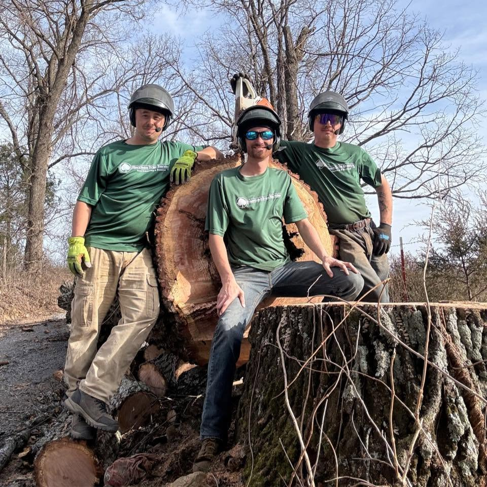 Three helmeted workers in green shirts posing by a large tree stump outdoors in winter