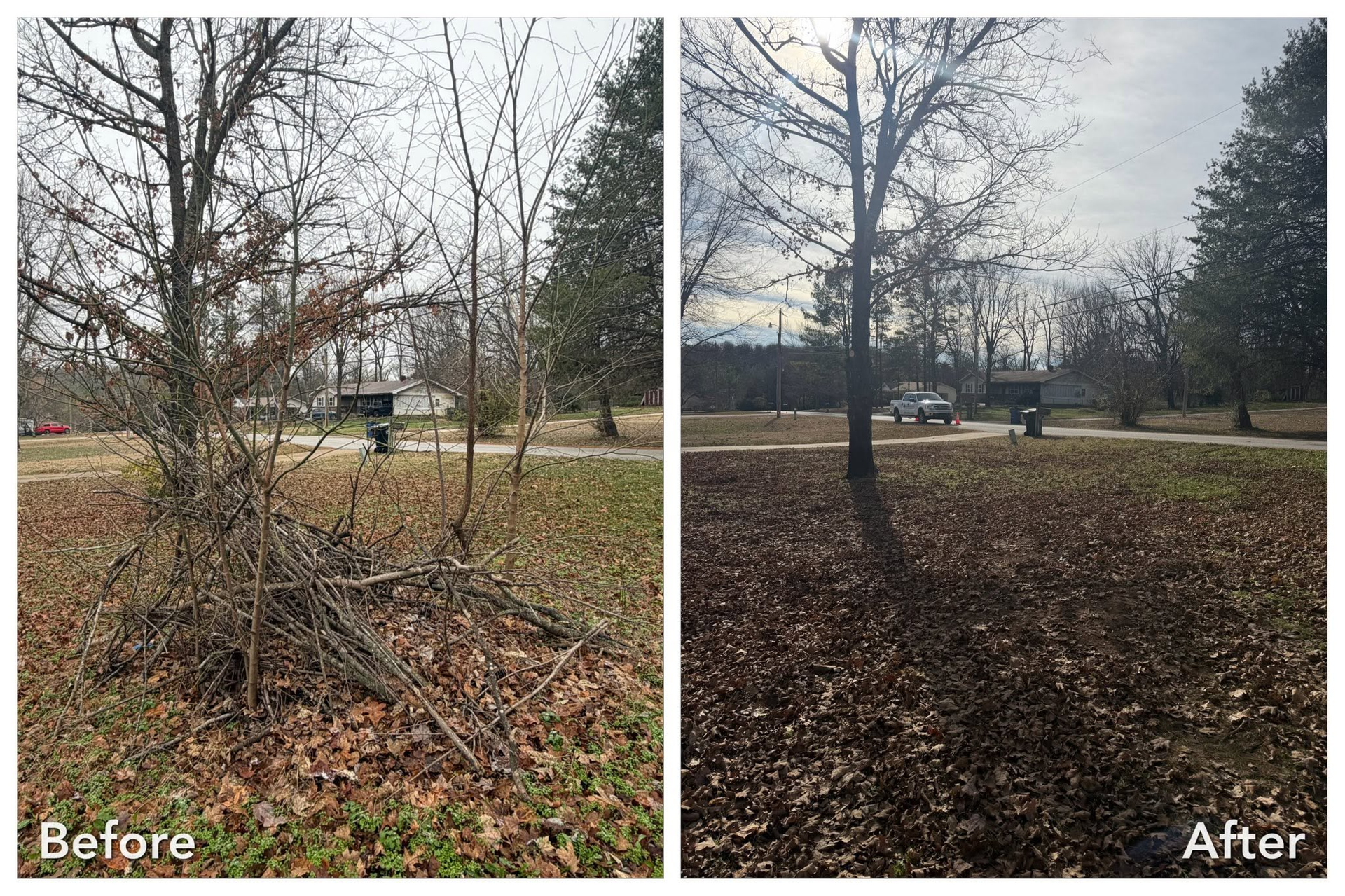 Before-and-after view of a leaf-covered yard after tree branches were cleared
