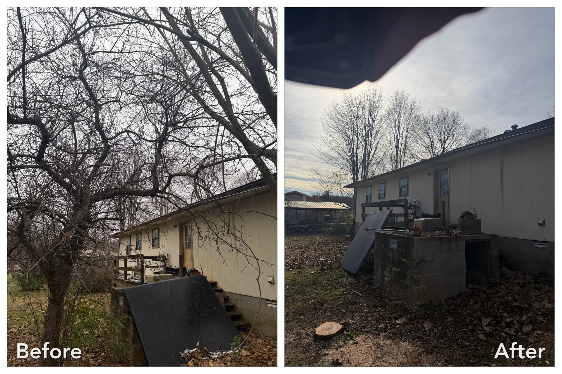 Before-and-after backyard view: overgrown trees cleared, revealing a house and a metal ramp by a concrete structure.