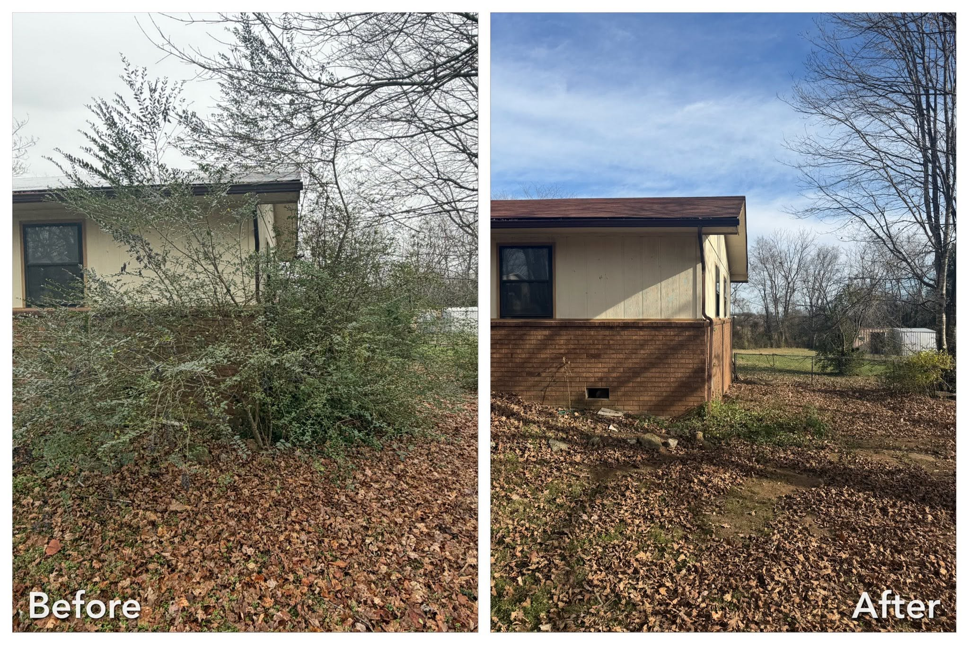 Before-and-after yard view beside a beige house, showing overgrown bushes replaced by a cleared lawn.