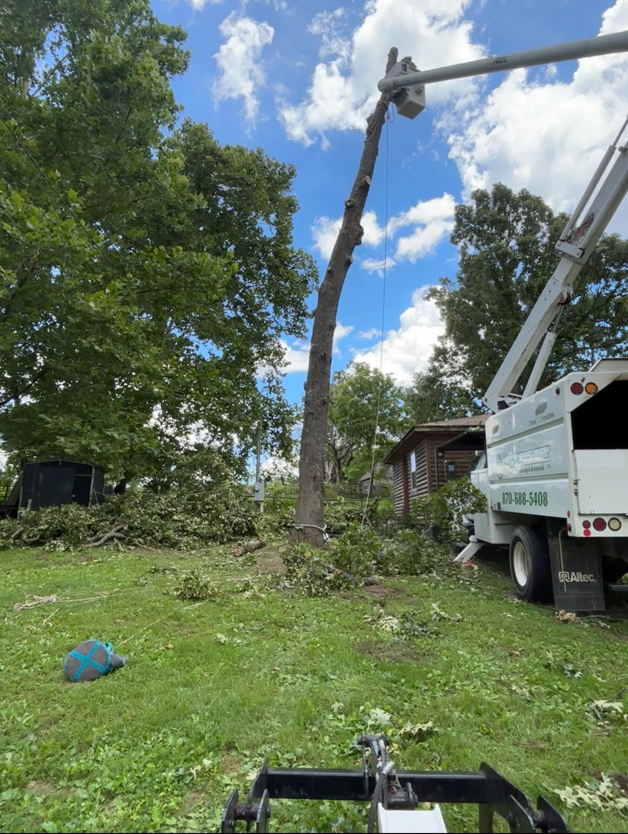 Tree cutting crane truck lifting a tall trunk in a grassy yard under a partly cloudy sky