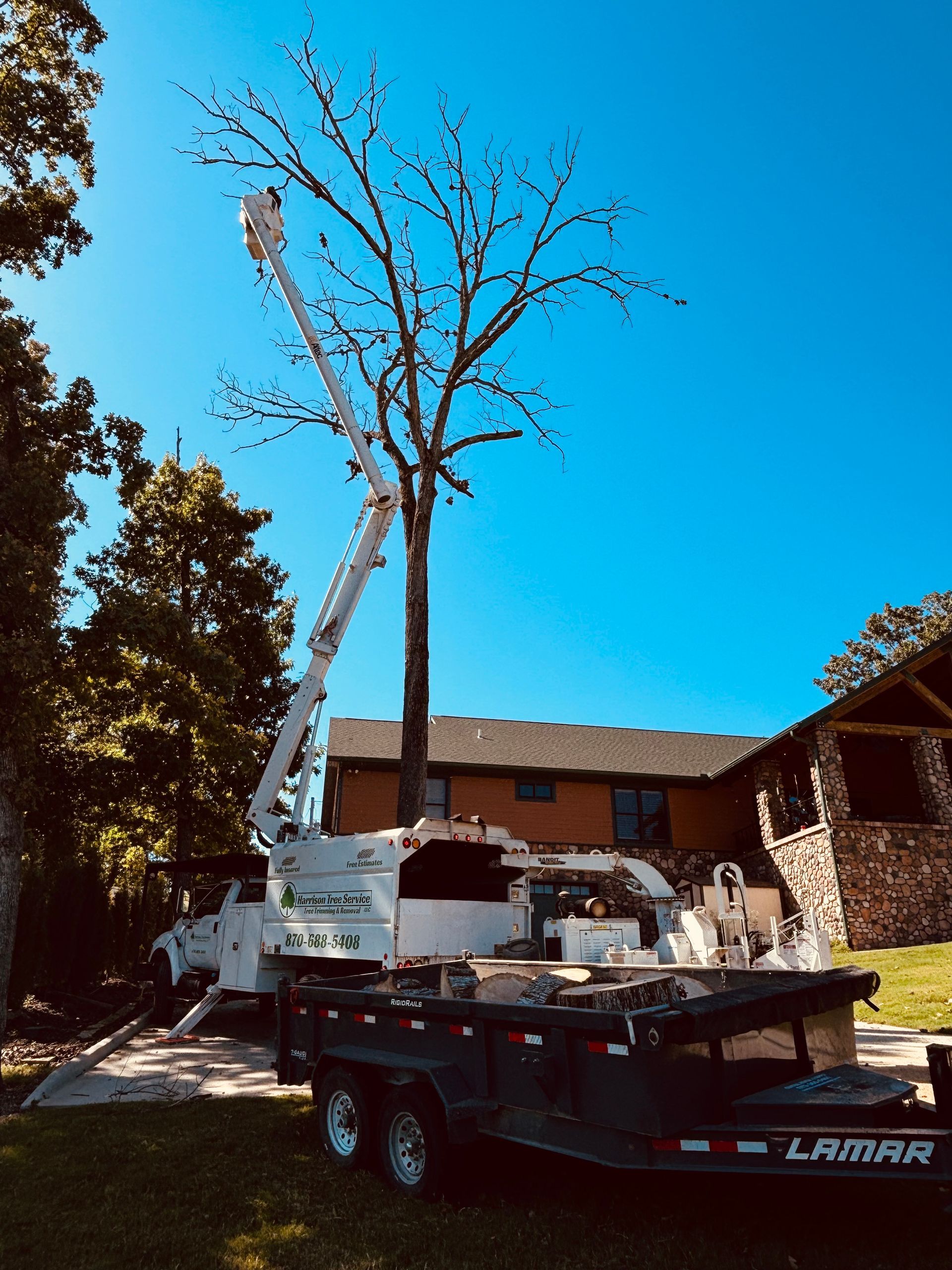 White bucket truck lifting a tree in a residential driveway under a bright blue sky