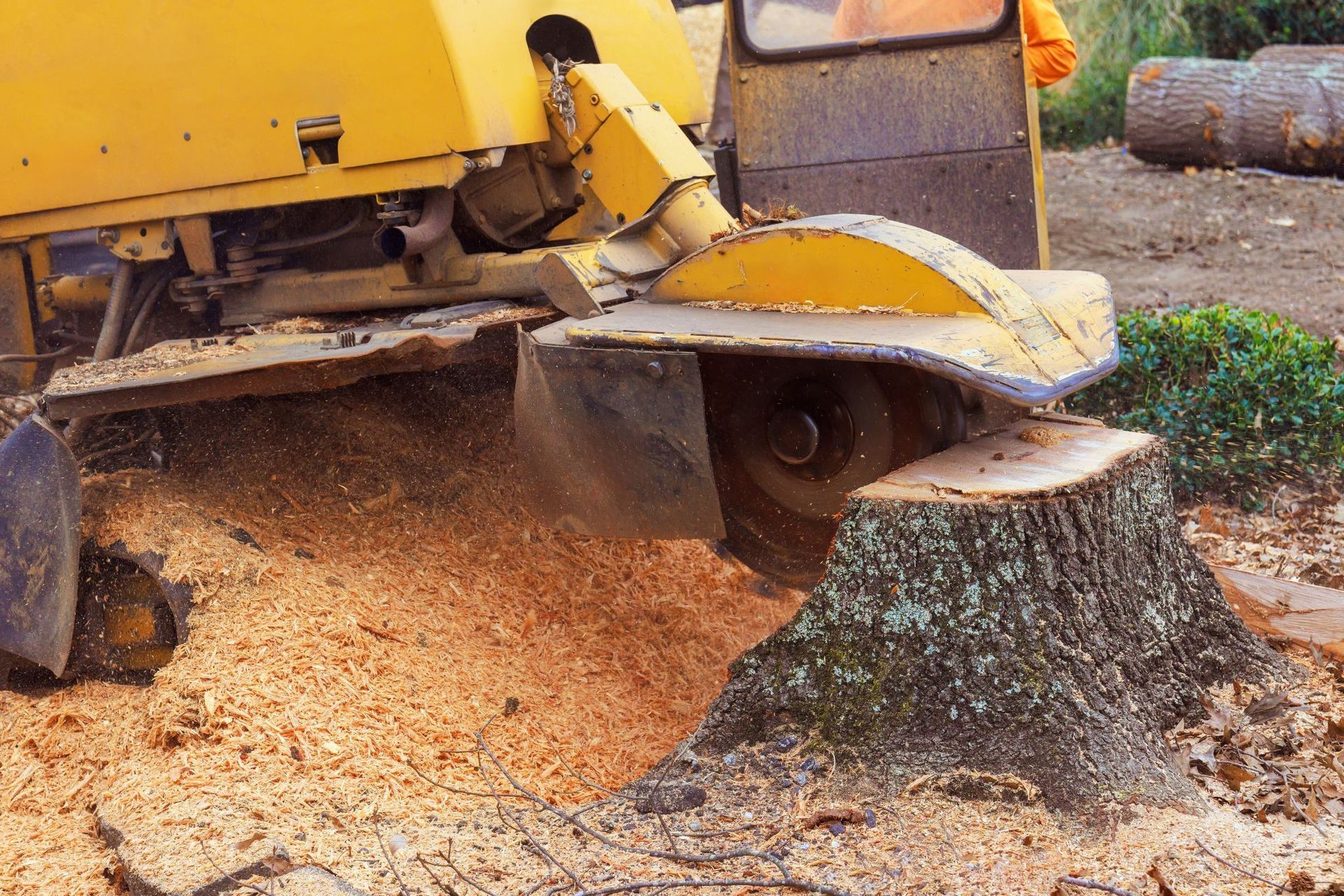 Yellow wood chipper grinding a tree stump, sending wood chips across the ground.
