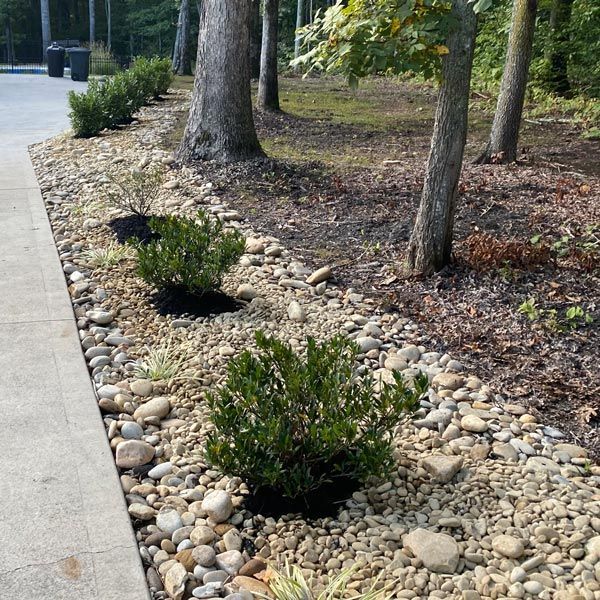Landscaped sidewalk with pebbles, shrubs, and trees along a concrete path