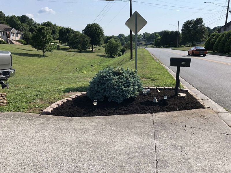Suburban roadside mailbox and sign beside a concrete driveway, with grass and trees along the street.