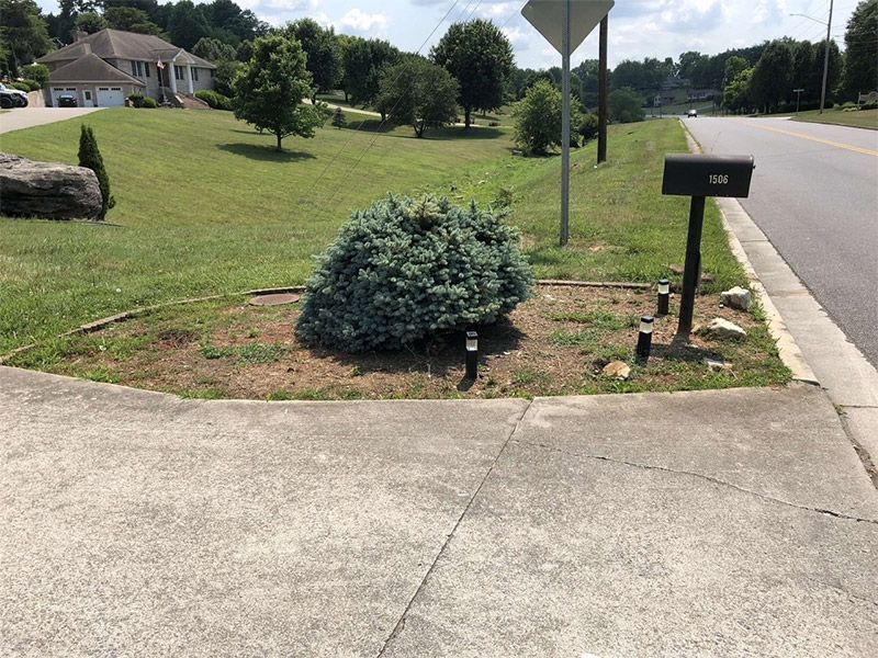 Corner lawn with a small shrub, driveway, mailbox, and road in a suburban neighborhood.