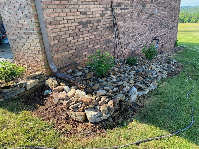 Rock-lined garden bed along a brick wall, with small shrubs and a hose on the grass.
