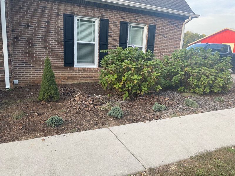 Brick house front with black shutters, shrubs, and a concrete sidewalk in the foreground