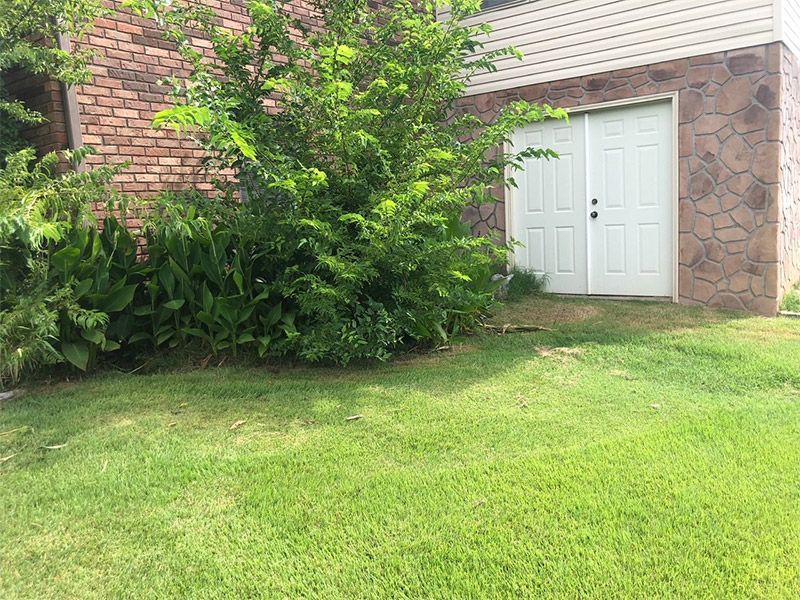 Brick house exterior with white double doors, green lawn, and dense shrubs in front
