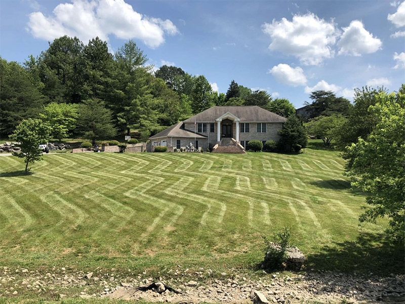 House with striped mowed lawn and trees under a blue sky