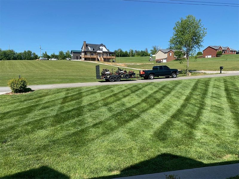 Striped green lawn with a pickup truck and trailer parked on a driveway near houses under a clear blue sky