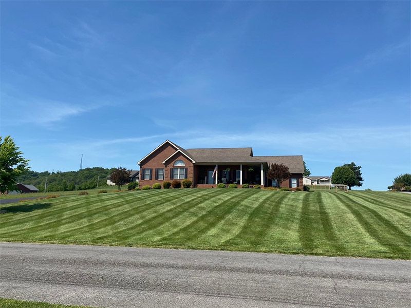 Brick house with a large striped lawn under a clear blue sky