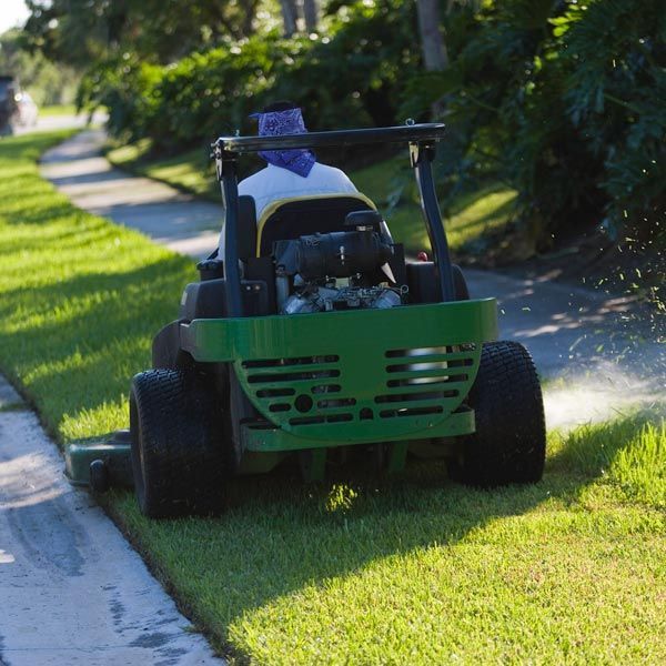 Lawn Maintenance