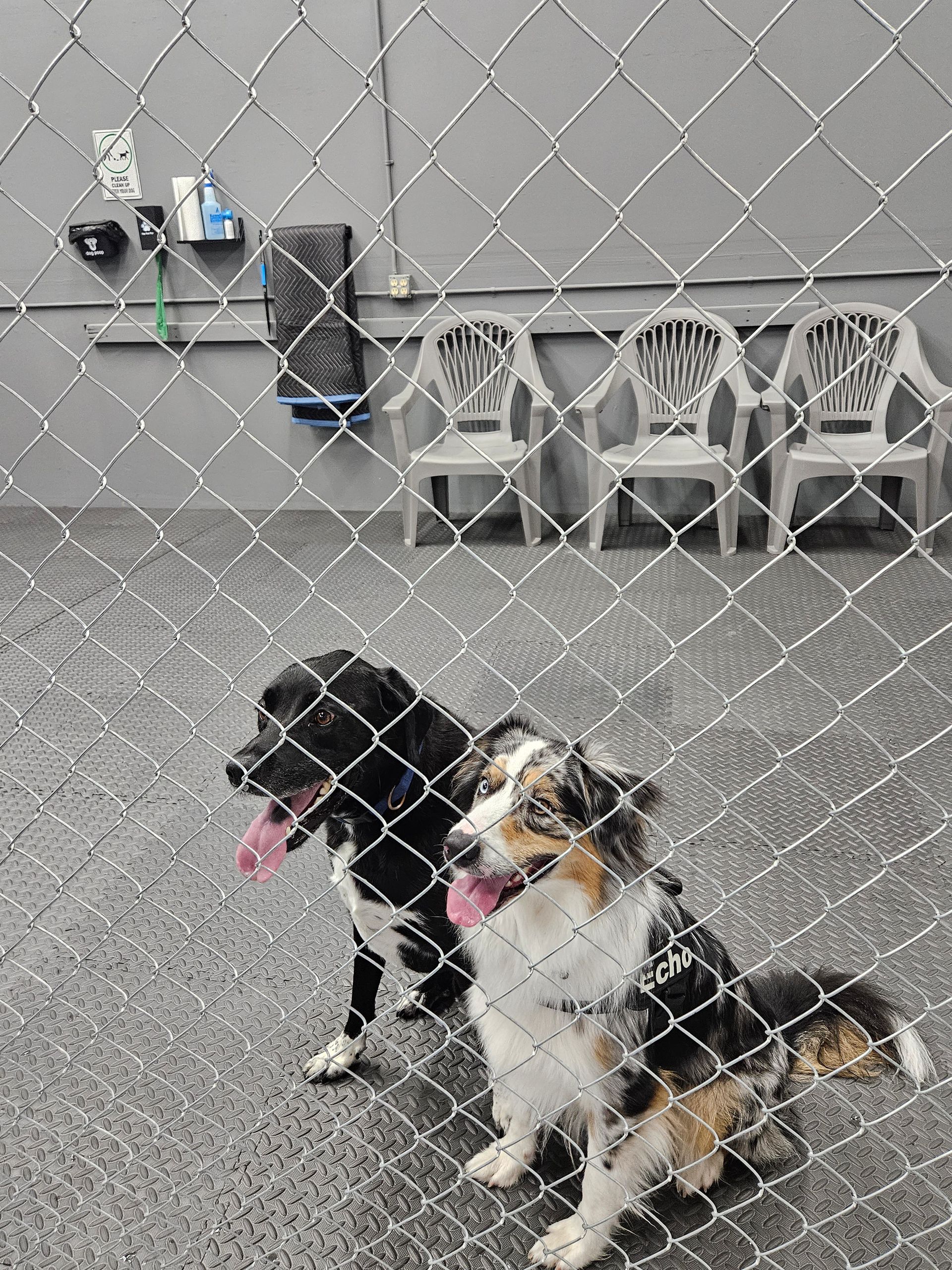 Ocala Dog Park Boarding Daycare