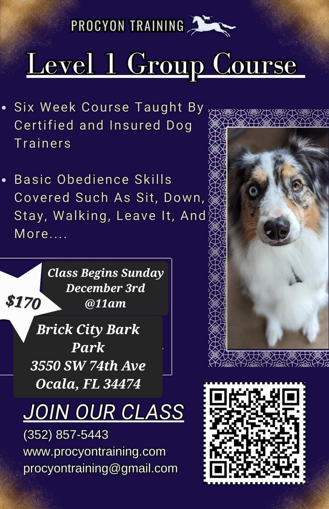 Ocala Dog Park Boarding Daycare