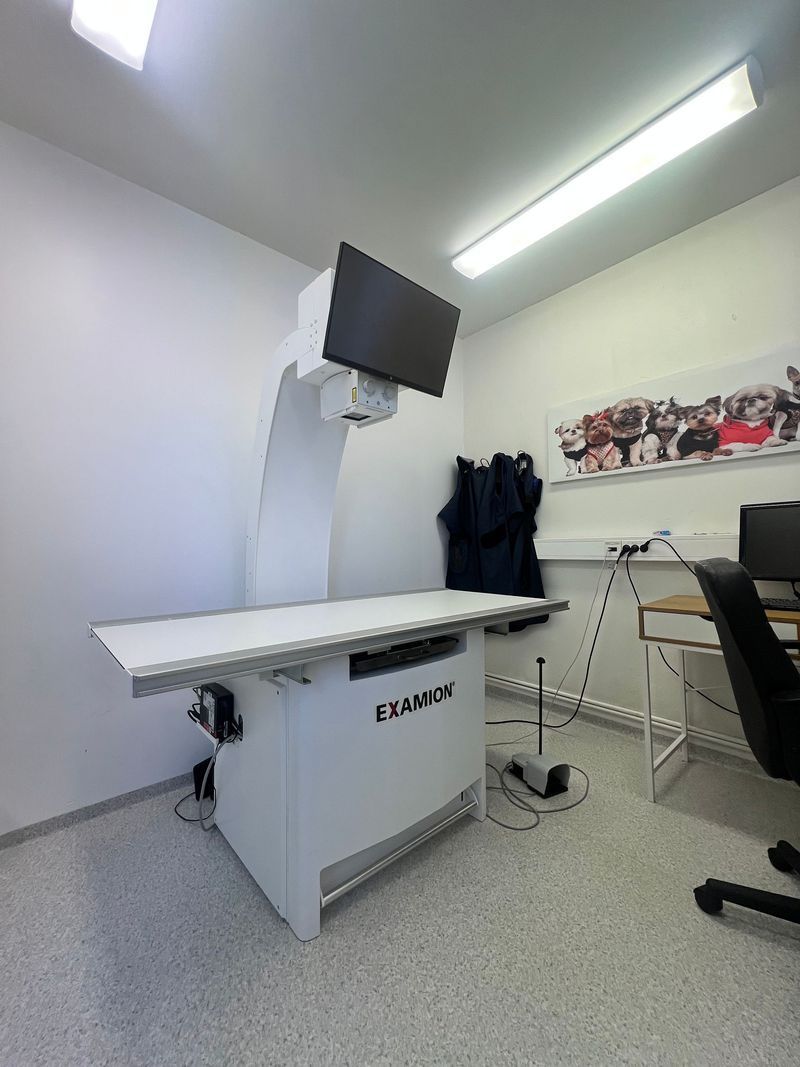 Veterinary examination table in a white room. A monitor is mounted above the table, with a foot pedal on the floor.